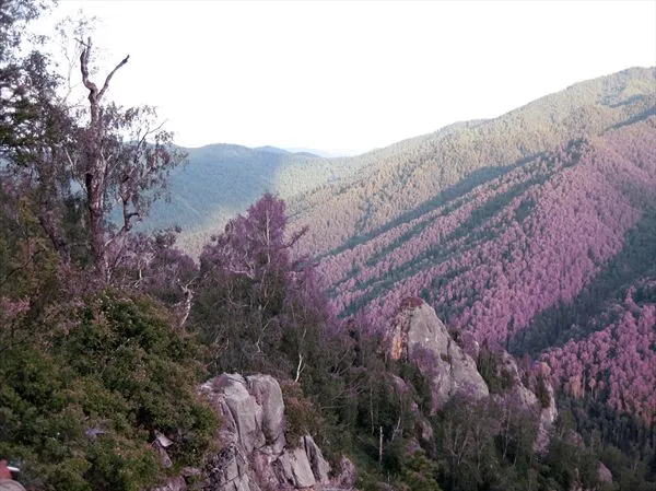 Горный Алтай. АГАРИЯ — лучшее место для уединенного отдыха.