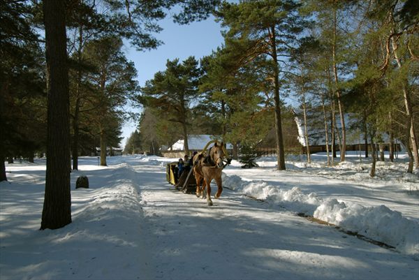 фото предоставлено туристическим офисом Таллинна