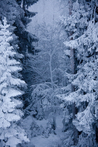 Финляндия. Зимняя сказка