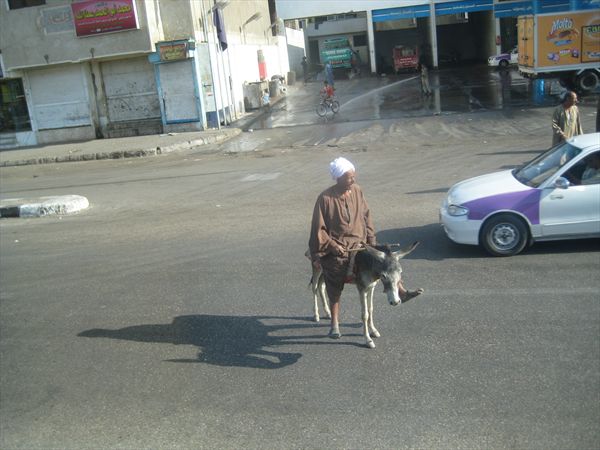 Наездник