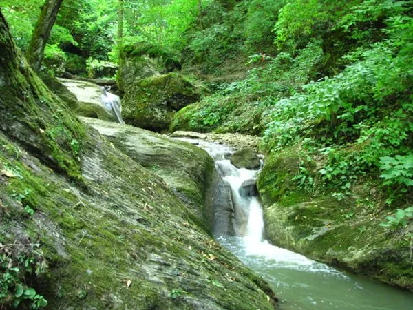 Кавказ: горы и море 2010