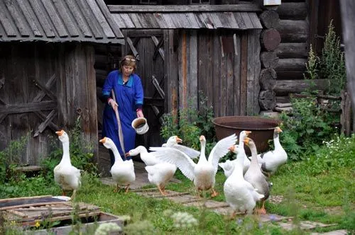 Этнографический парк истории реки Чусовой