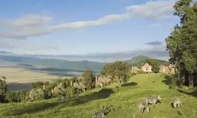 Отель Ngorongoro Crater Lodge.