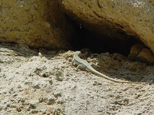 Каппадокия