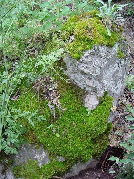 Каньон Ихлара