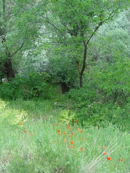 Каньон Ихлара