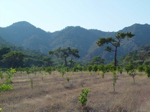 дорога на Химеру