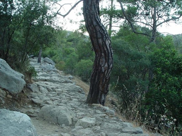 дорога на Химеру