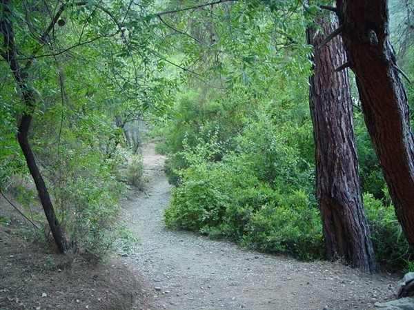 дорога на Химеру