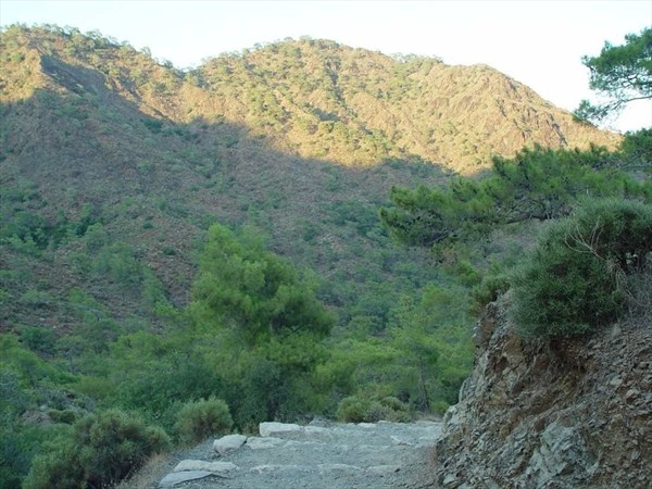 дорога на Химеру