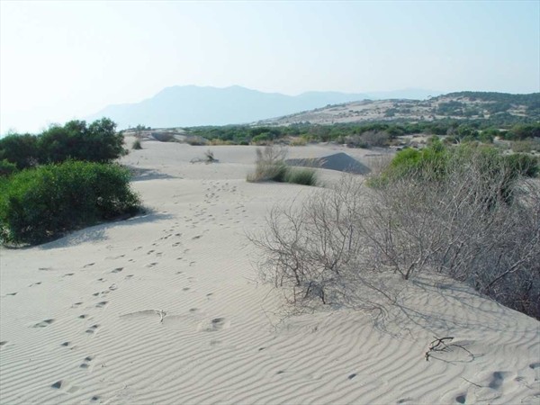 Пляж Патара