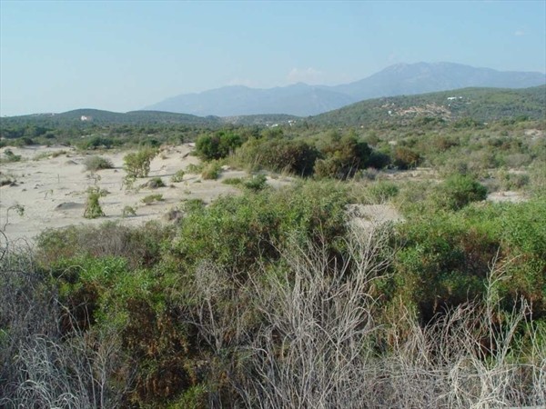 Пляж Патара