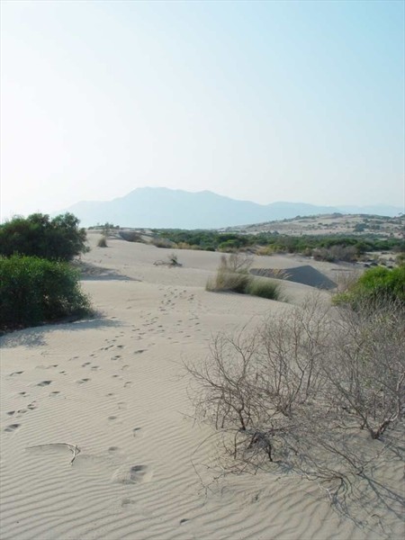 Пляж Патара