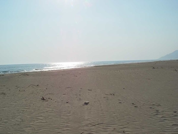 Пляж Патара