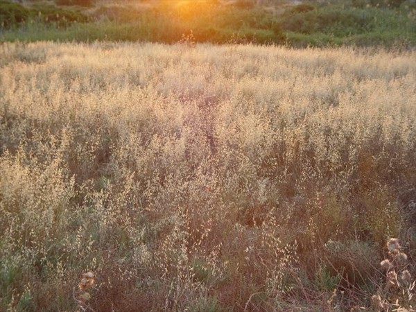 Дорога на Патару