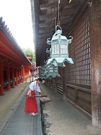 Miko_at_Kasuga_Taisha.jpg