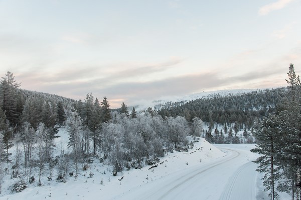 Зима в Лапландии