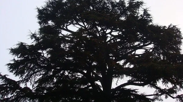 Франция, Замки Луары, город Тур