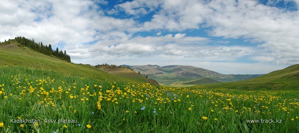 плато Ассы