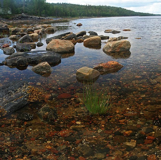 Bereg-litoral.jpg