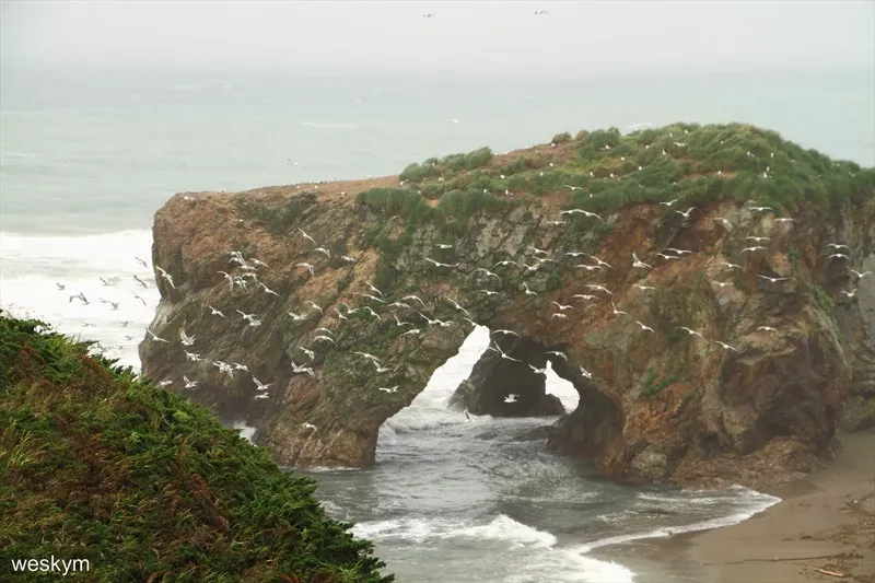 Мыс Великан и Охотское море.