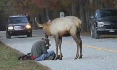 Не серди фотомодель