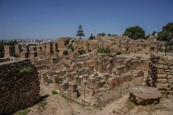 Маршруты. Карфаген