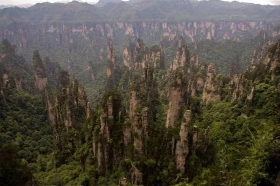 Парк Чжанцзяцзе