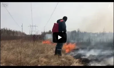 Природные пожары в Амурской области