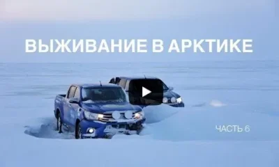 Как выжить в Арктике