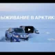 Как выжить в Арктике