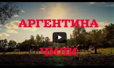 Аргентина и Чили