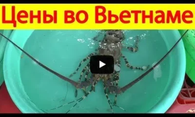 Цены на продукты и еду во Вьетнаме