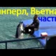 Морские котики и дельфины выступают в парке развлечений Винперл