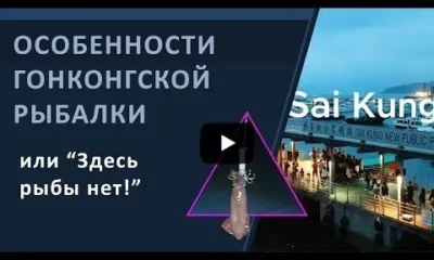 Особенности гонконгской рыбалки