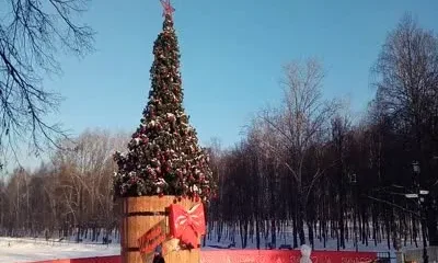 Предновогоднее Подмосковье