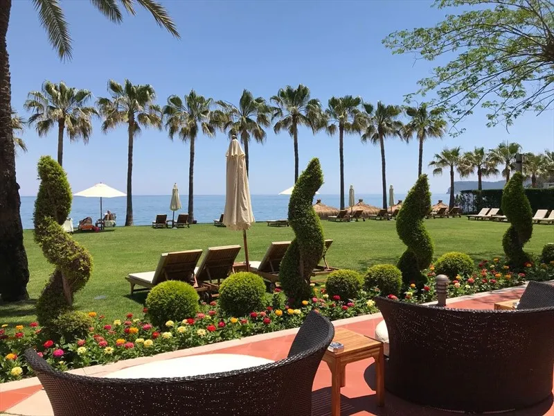 территория