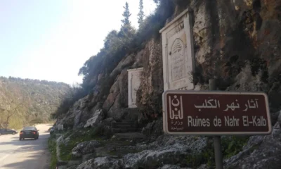 Нар-эль-Кальб