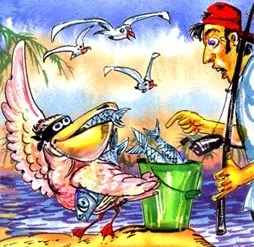 Ах, Флорида!