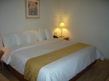 Quality Zona Rosa Pf Inn Mexico City