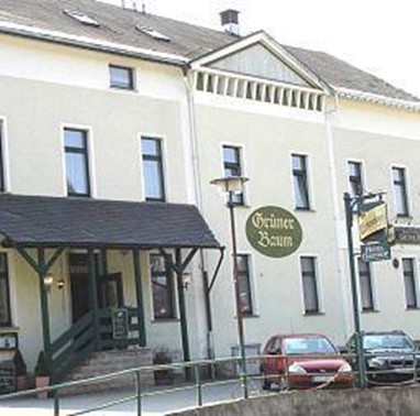 Hotel Grüner Baum Breitenbrunn (Saxony)