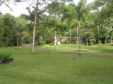 Lync Haven Rainforest Retreat