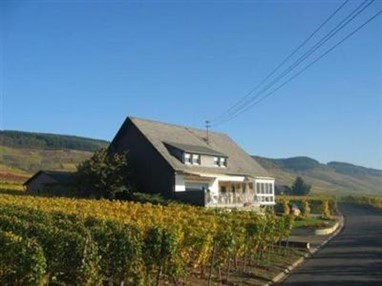 Ferienweingut Wolfgang Adamy Gästehaus Kinheim