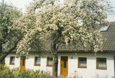 Gastehaus Apfelbaum