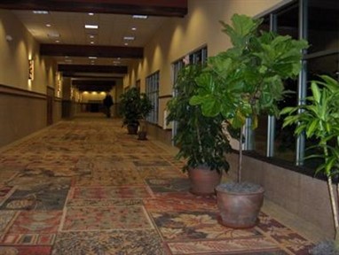 Holiday Inn Stevens Point Convention Center