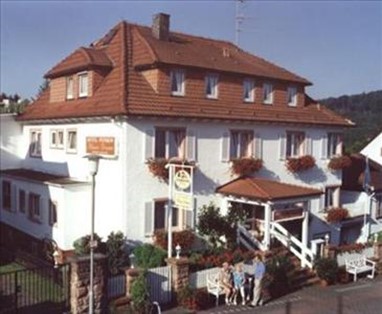 Hotel Irene Bad Konig