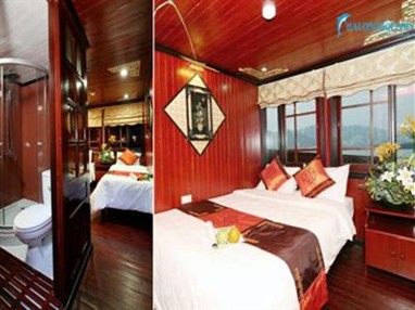 Halong Dolphin Day Cruise