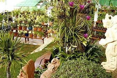 Orchidacea Resort Phuket