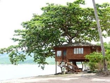 Laiya Coco Grove Resort