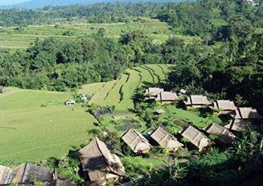 Saranam Eco Resort Bali